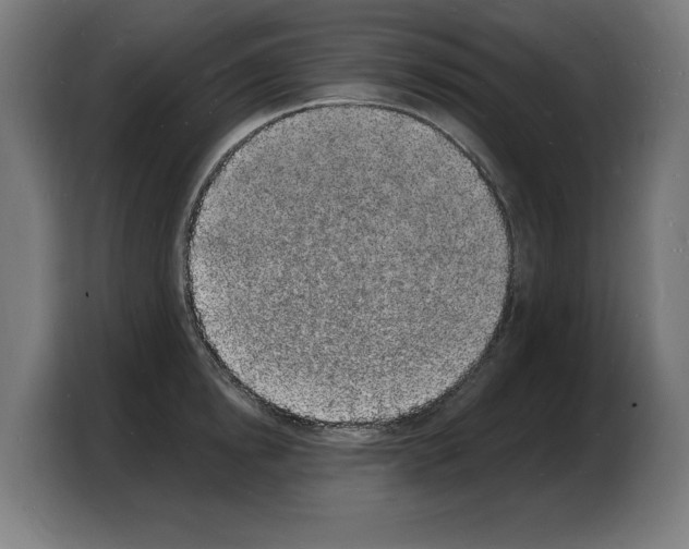 X0000103970854200810311523