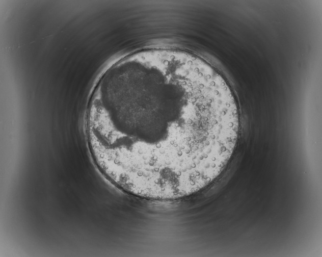 X0000103970855200810311523