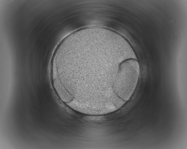 X0000103970856200810311523