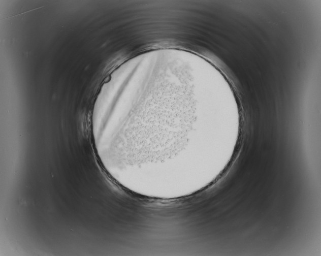 X0000103970857200810311523