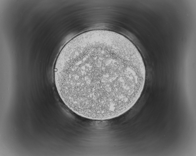 X0000103970858200810311523