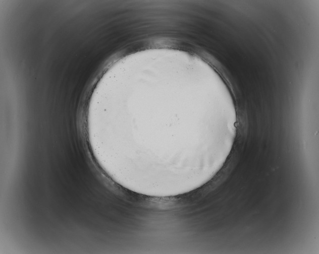 X0000103970859200810311523