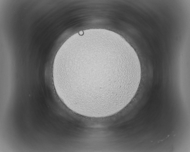 X0000103970860200810311523