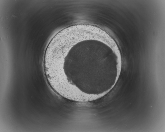 X0000103970863200810311523