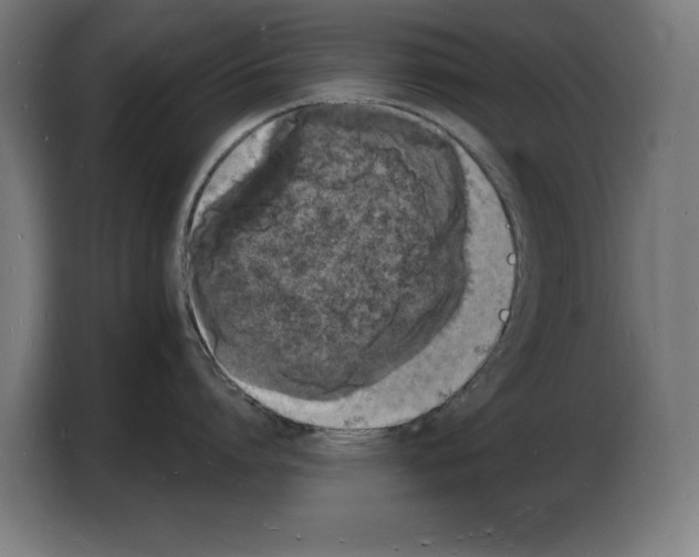 X0000103970864200810311523