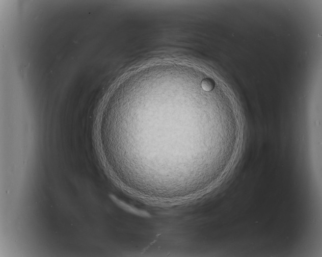X0000103970865200810311522