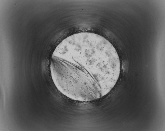 X0000103970867200810311522