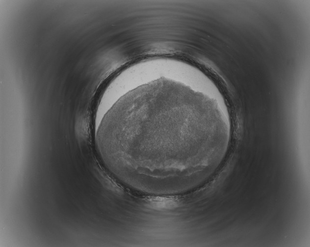 X0000103970874200810311522