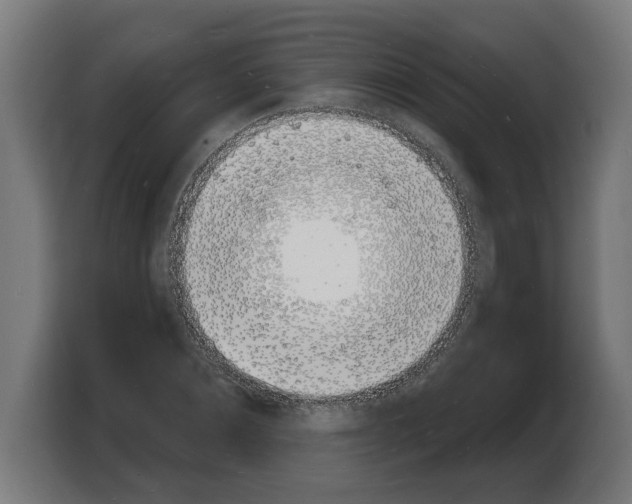 X0000103970876200810311522