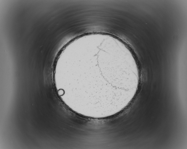 X0000103970877200810311522