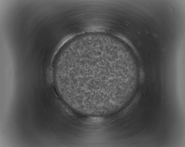 X0000103970878200810311522