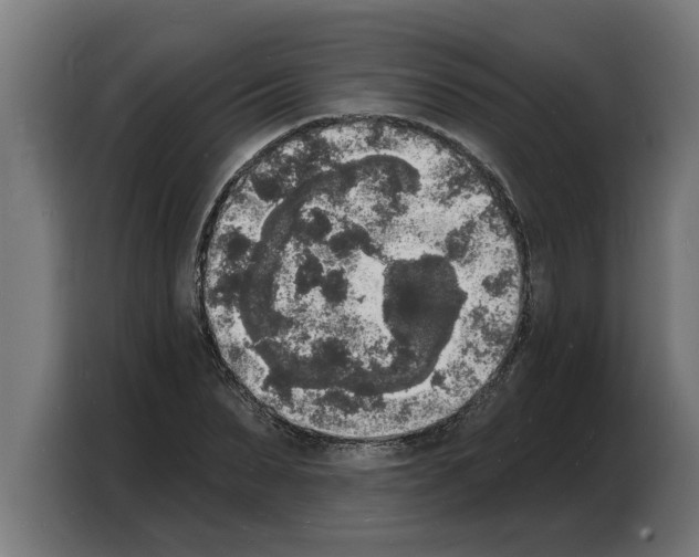 X0000103970879200810311522