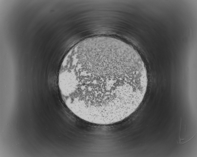 X0000103970881200810311522