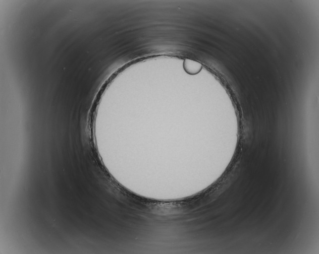 X0000103970883200810311522