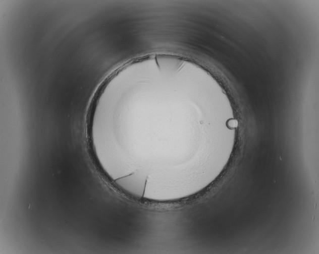 X0000103970884200810311522