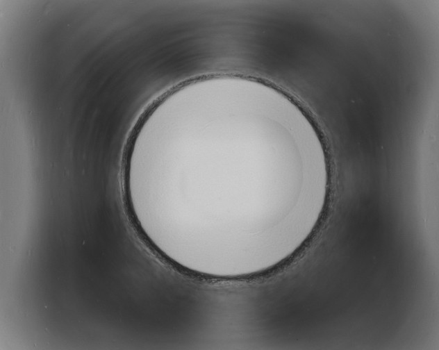 X0000103970888200810311522