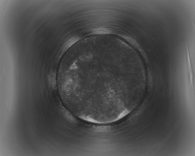 X0000103970889200810311522