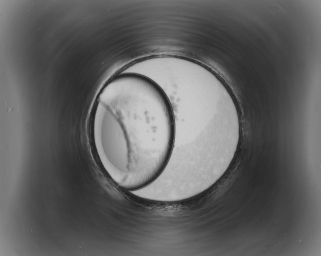 X0000103970891200810311522