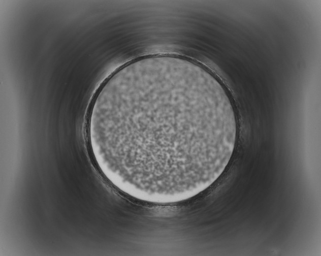 X0000103970893200810311522
