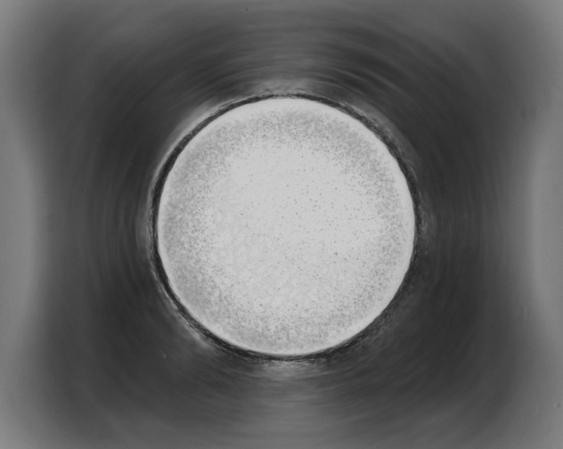 X0000103970894200810311522