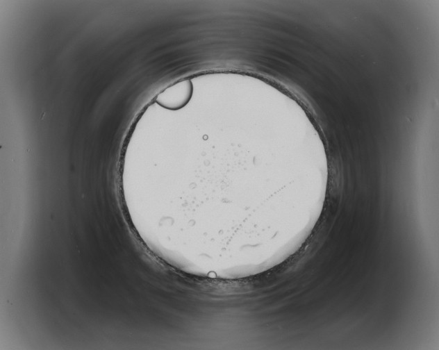 X0000103970895200810311522