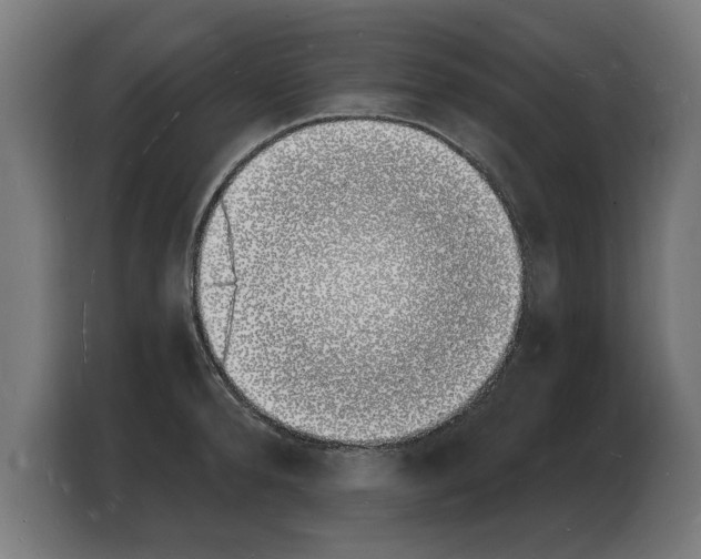 X0000103970896200810311522