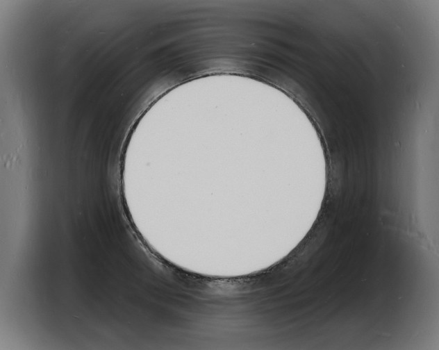 X0000103970898200810311522