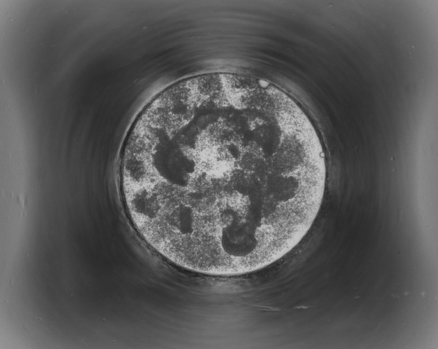 X0000103970899200810311522