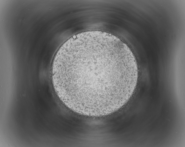 X0000103970900200810311522