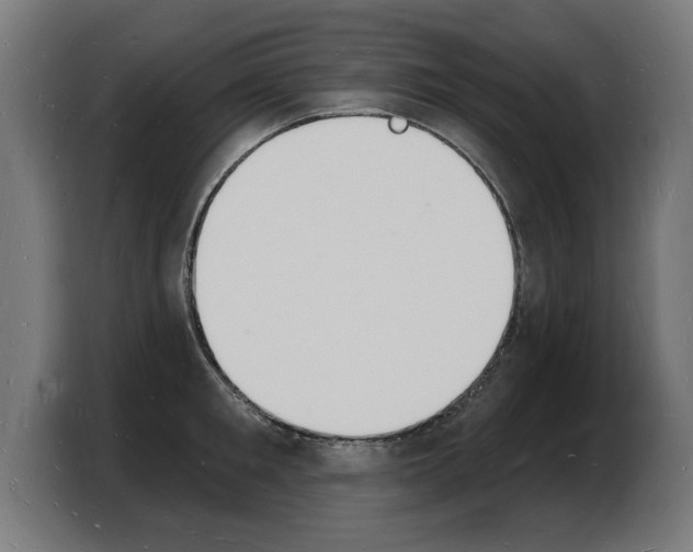 X0000103970901200810311522