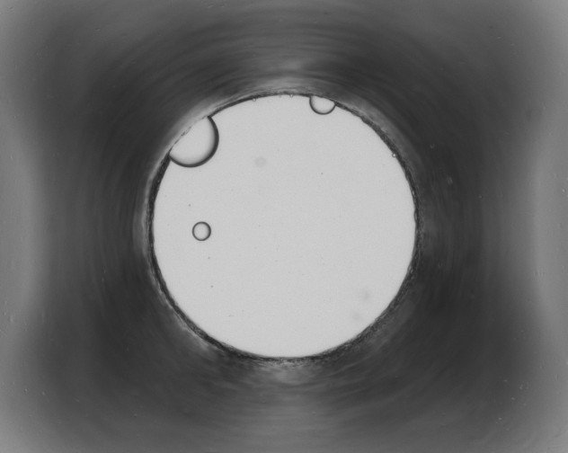 X0000103970902200810311522