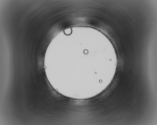 X0000103970905200810311522