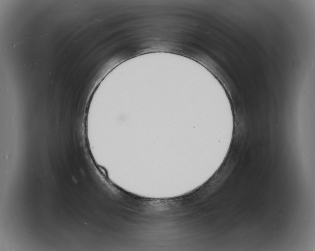 X0000103970906200810311522