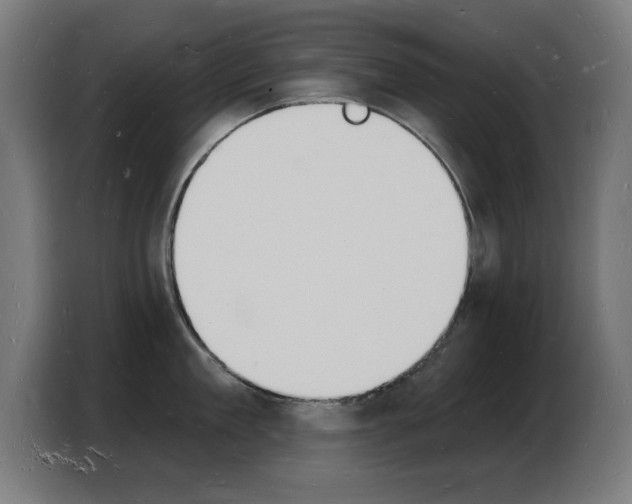 X0000103970909200810311522