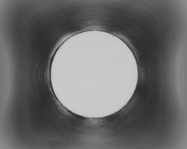 X0000103970910200810311522