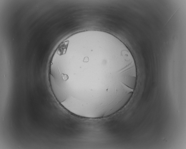 X0000103970912200810311522