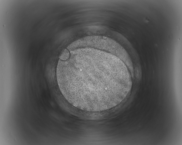 X0000103970915200810311521