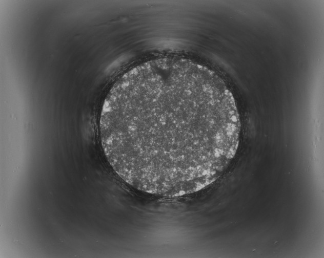 X0000103970918200810311521