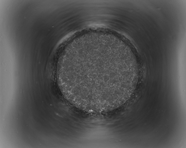 X0000103970919200810311521
