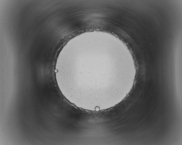 X0000103970920200810311521