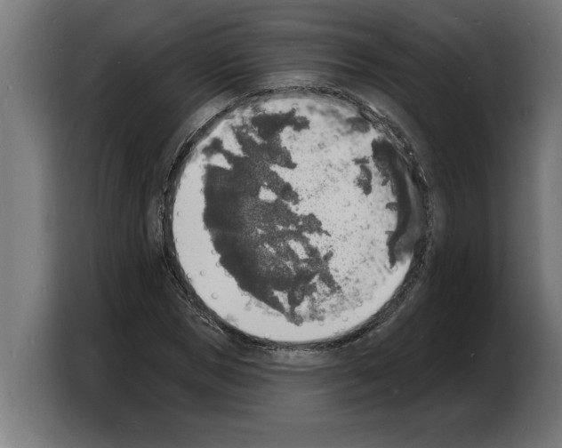 X0000103970921200810311521