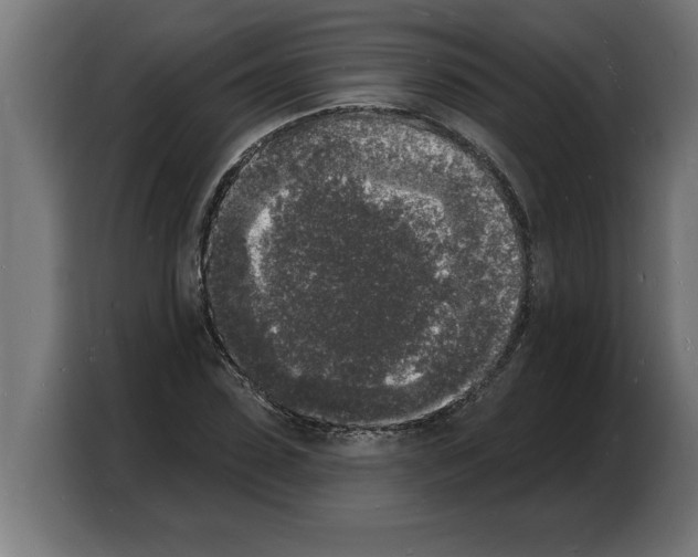 X0000103970923200810311521