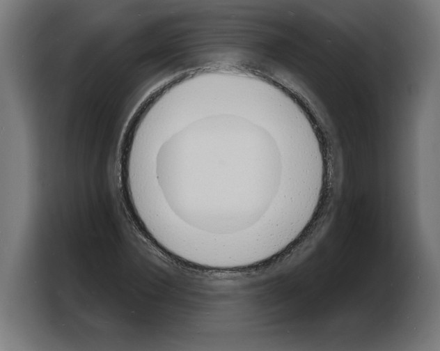X0000103970924200810311521