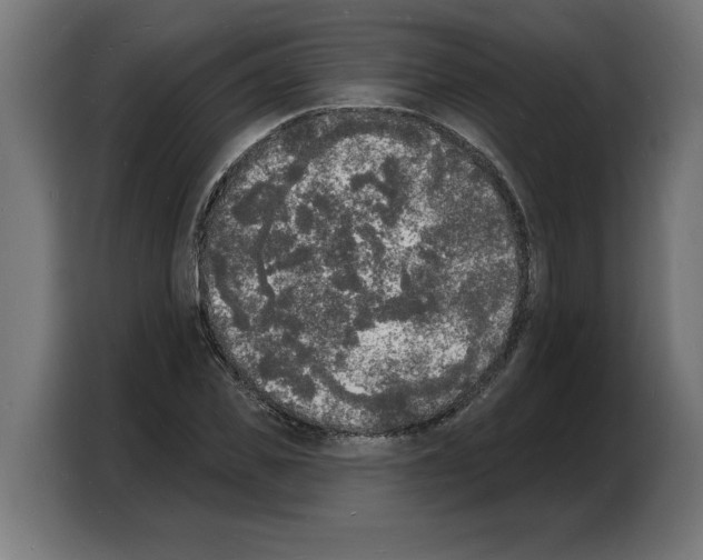 X0000103970925200810311521