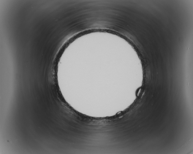 X0000103970926200810311521