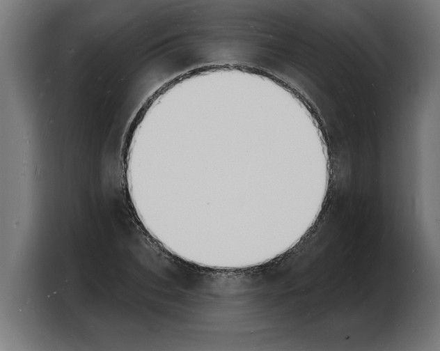 X0000103970927200810311521