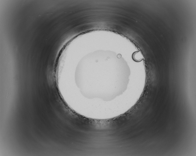 X0000103970928200810311521