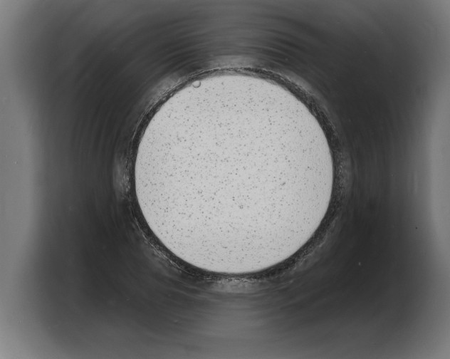 X0000103970929200810311521