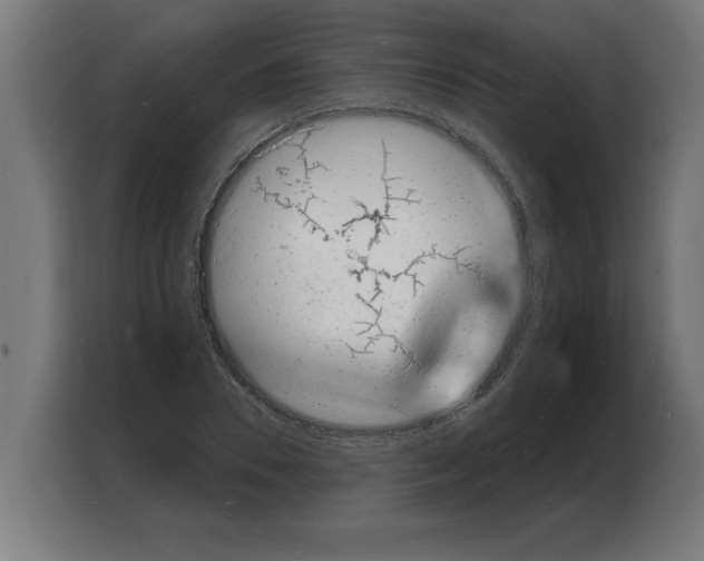 X0000103970930200810311521
