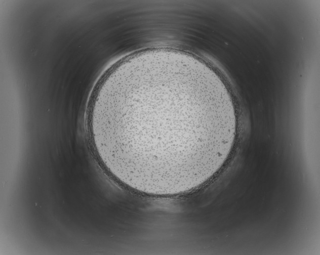 X0000103970932200810311521